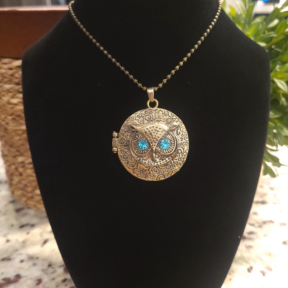 Owl Pendant Locket Necklace with Blue Accents